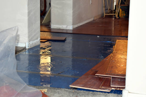 Professional Basement Flooding technician working in Moore, TX